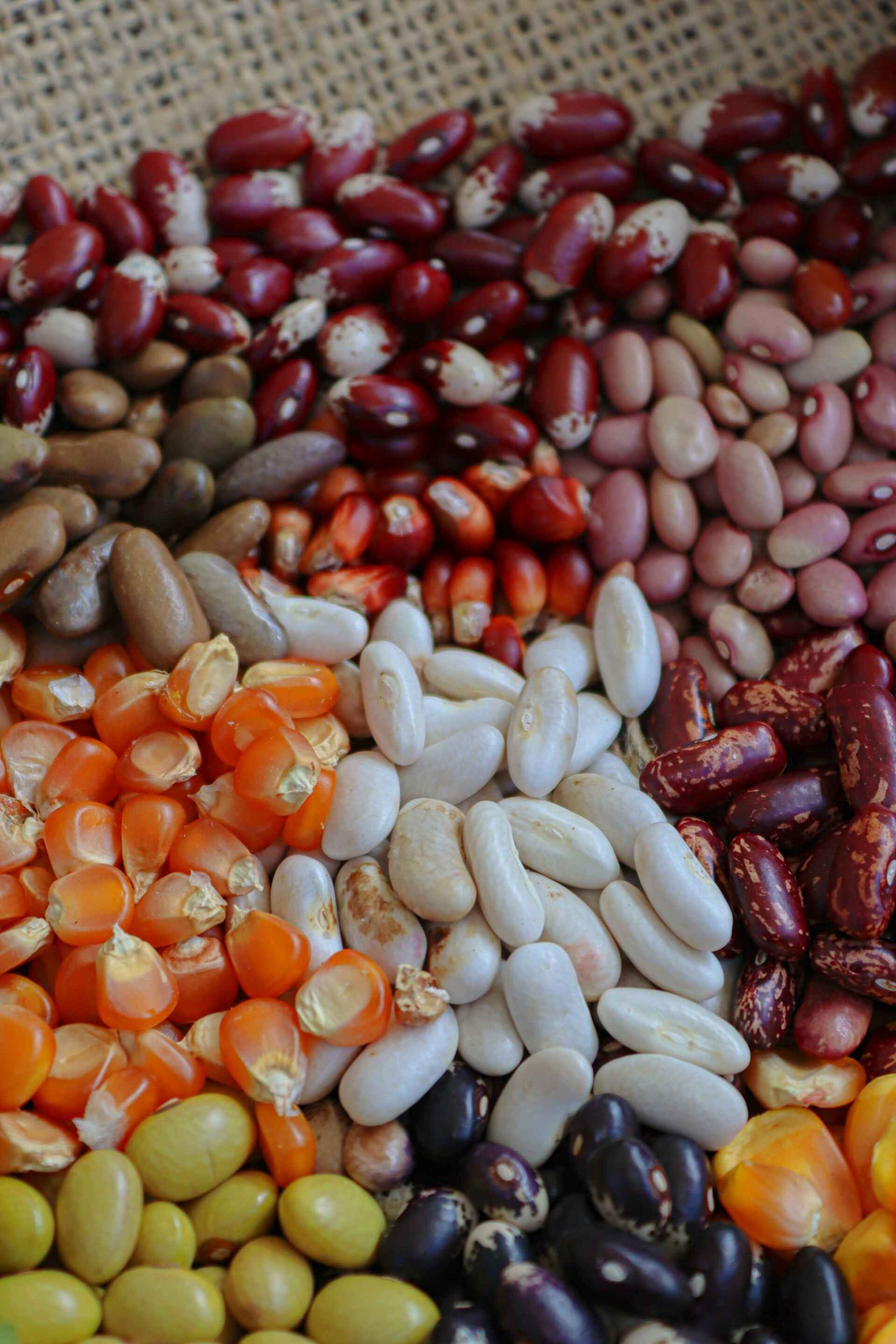 Farm Produce – Dry Grains & Legumes